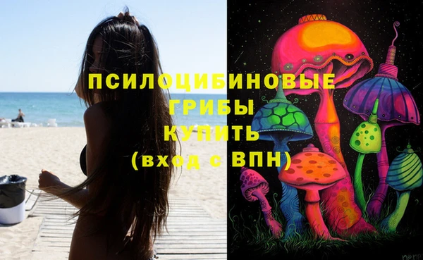твердый Нефтекумск