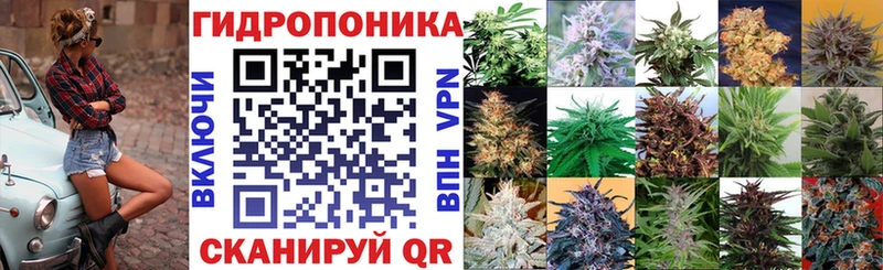 МАРИХУАНА семена Купить где Зерноград